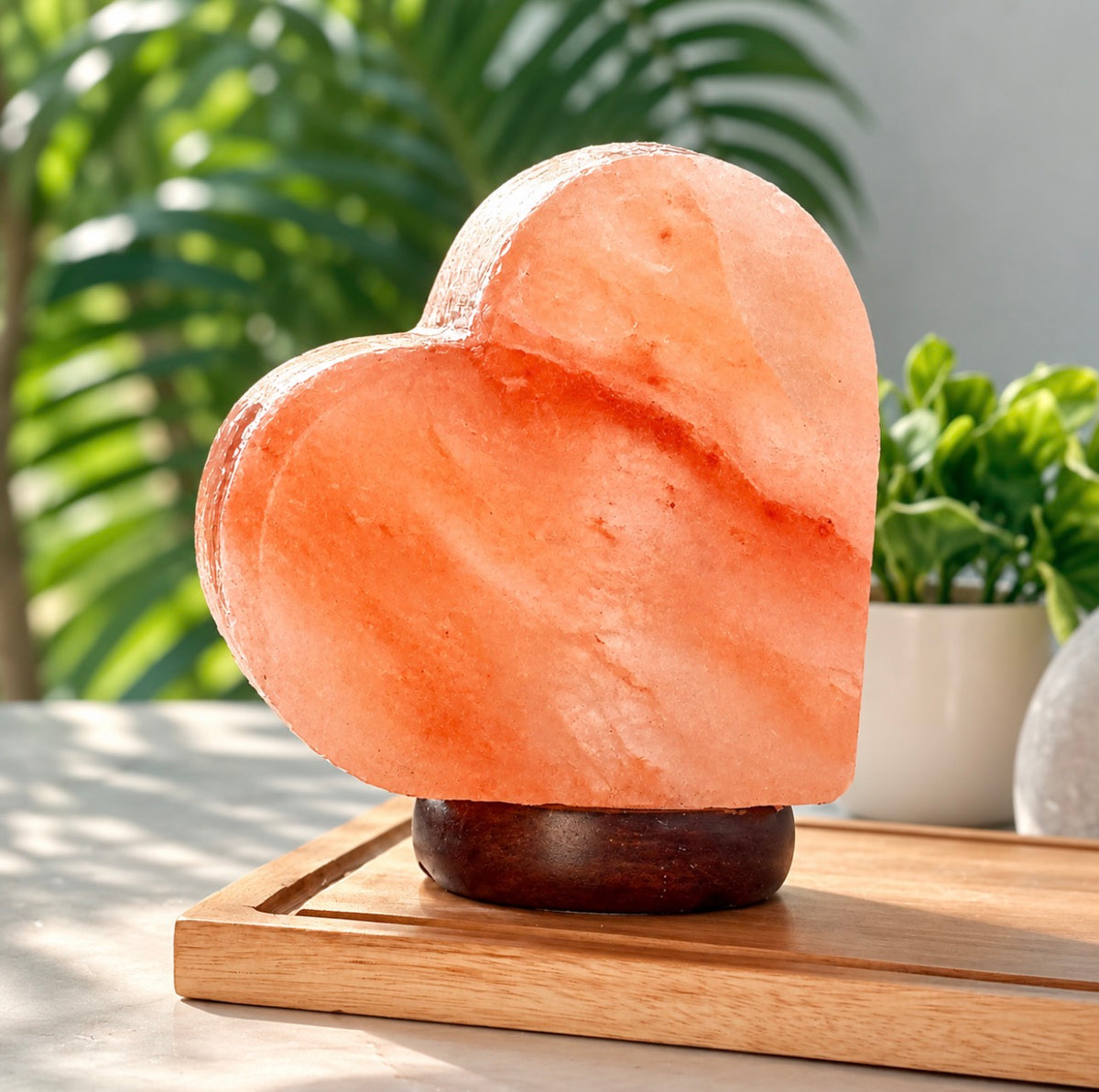 Heart Shape Himalayan