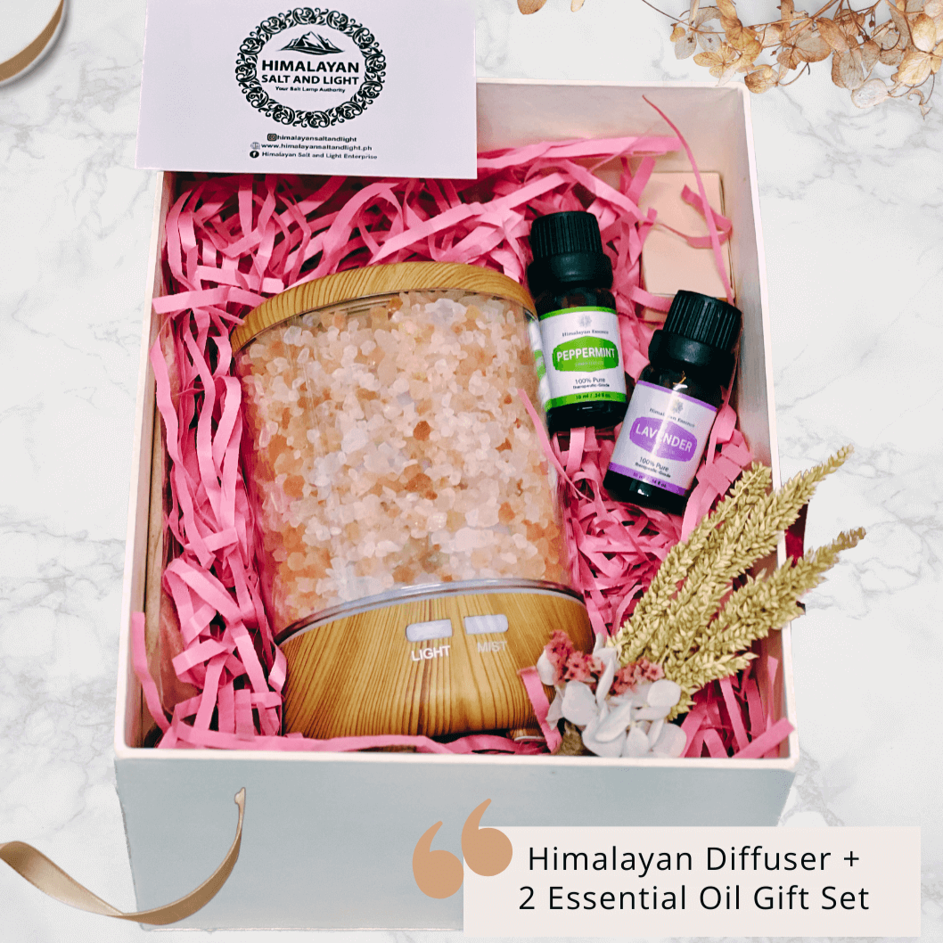 GS17 - Himalayan Diffuser with 2 Essential Oil