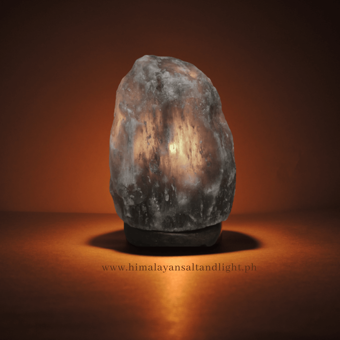 Rare Gray Salt Lamp