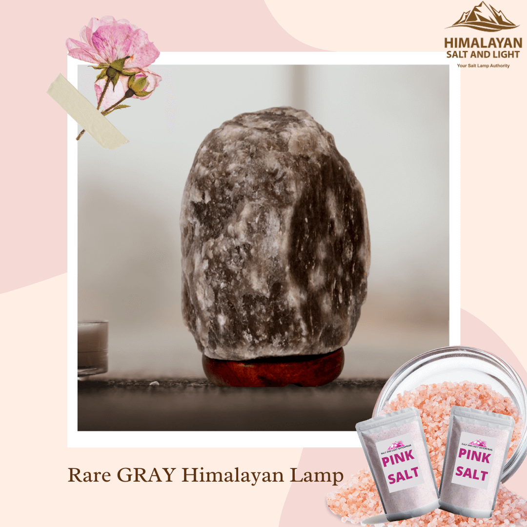 Rare Gray Salt Lamp
