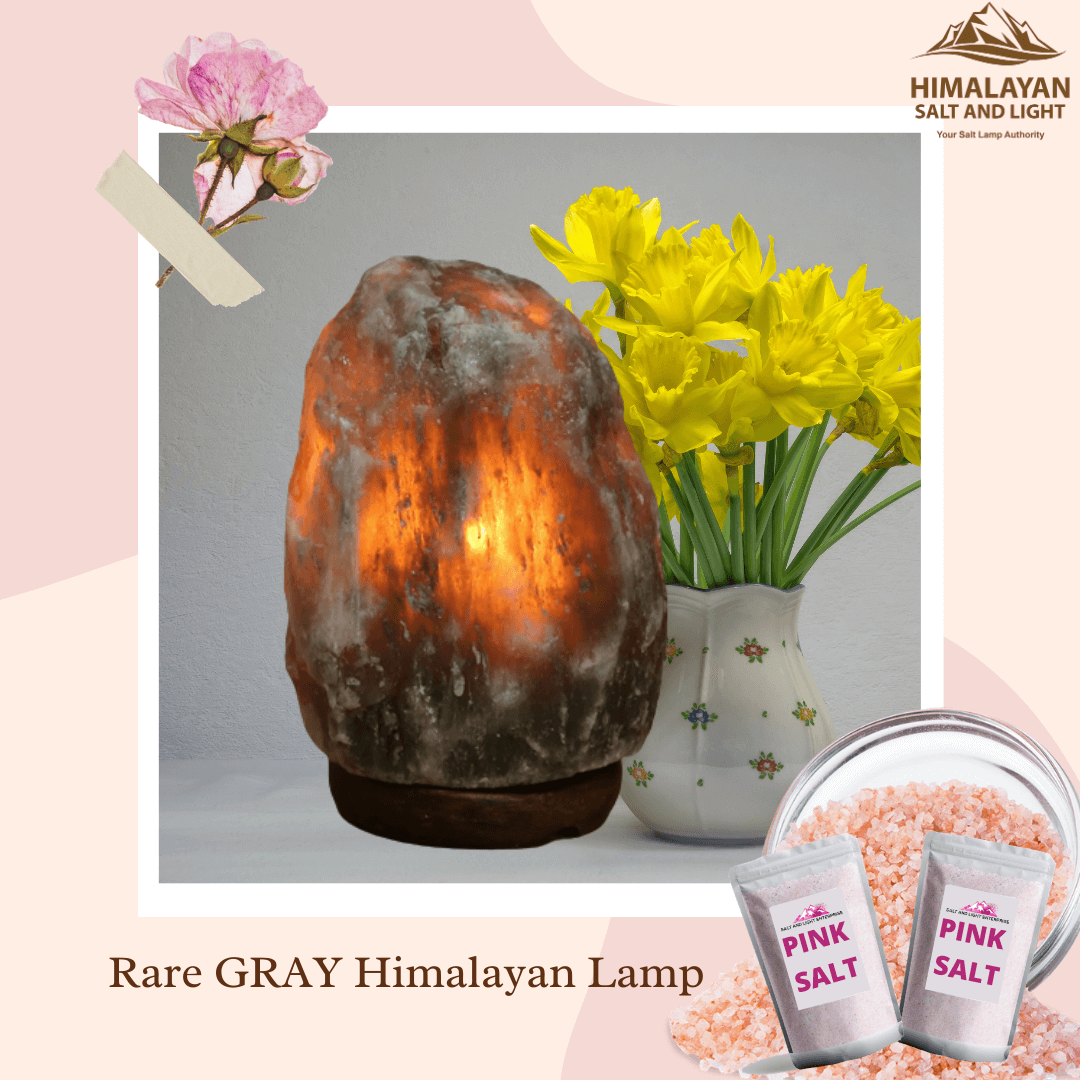 Rare Gray Salt Lamp