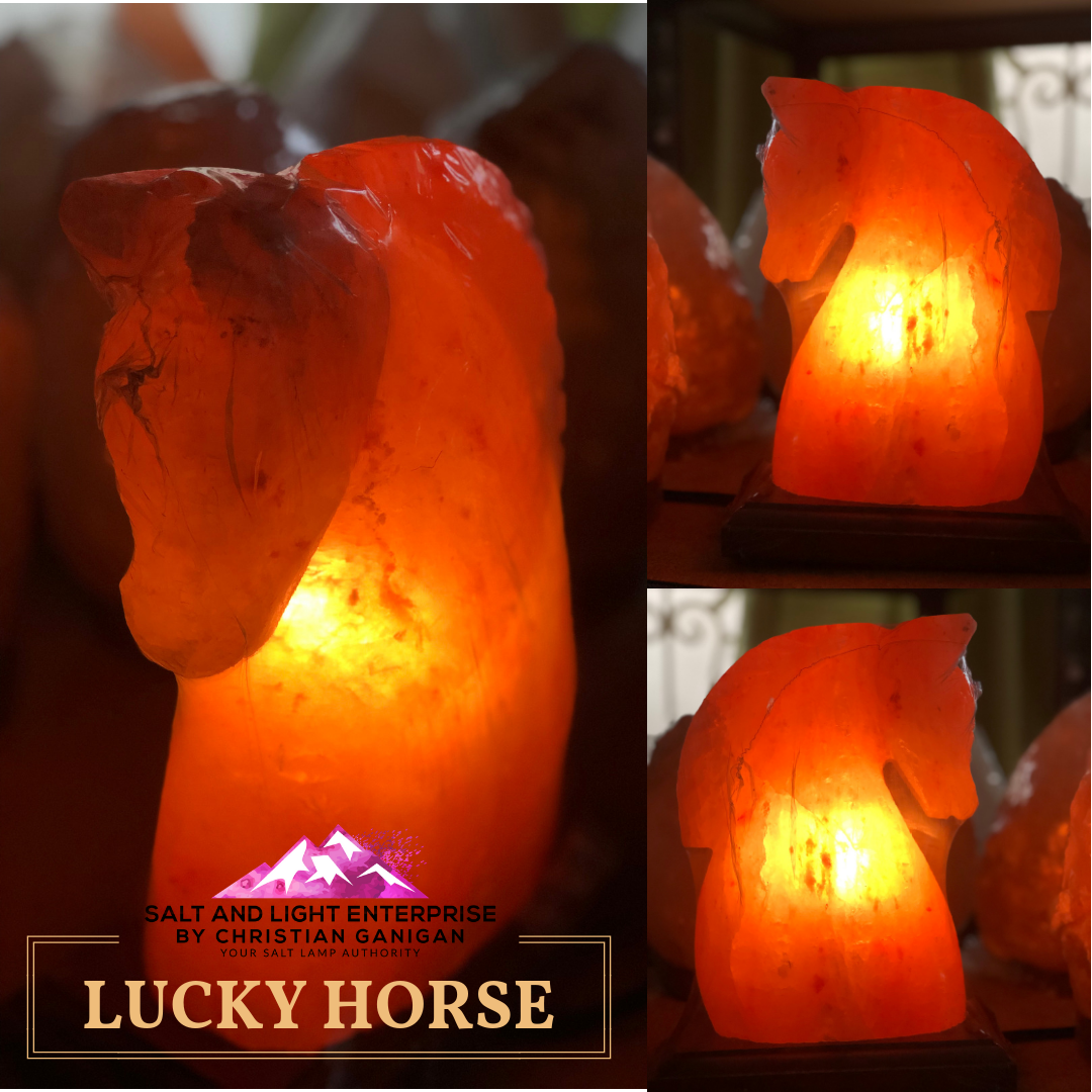 Lucky Horse ( handcrafted)