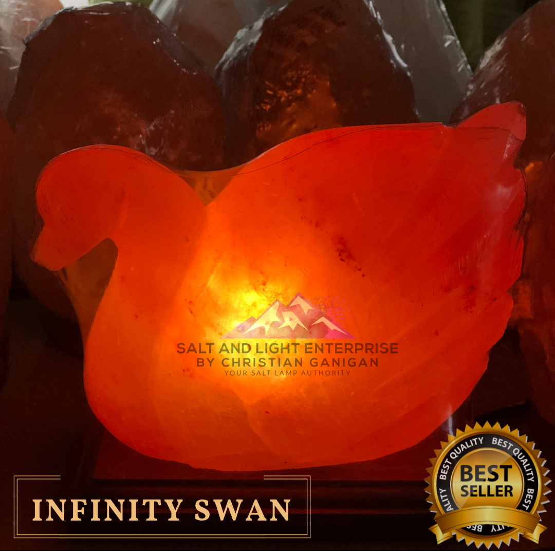 Infinity SWAN Salt Lamp